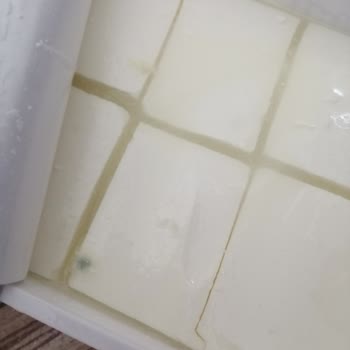 İçim Peynirde Küf Ve Leke Sorunu, Sağlık Endişesi