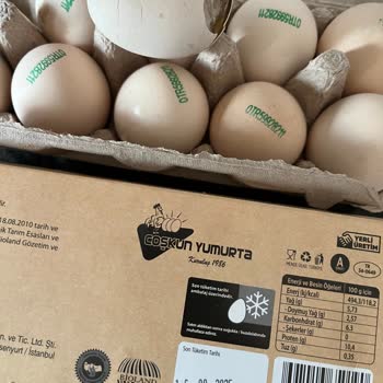 Aldığım Organik Yumurtalarda Küf Ve Kötü Koku, Yetersiz Çözüm