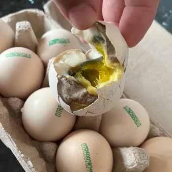 Aldığım Organik Yumurtalarda Küf Ve Kötü Koku, Yetersiz Çözüm