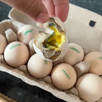 Aldığım Organik Yumurtalarda Küf Ve Kötü Koku, Yetersiz Çözüm