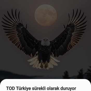 Tod Uygulamasında Siyah Ekran Ve Giriş Sorunu Çözülemiyor
