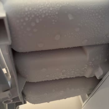 Yeni Bosch Çamaşır Makinesinde Deterjan Bölmesinde Su Birikmesi Ve Servis İlgisizliği