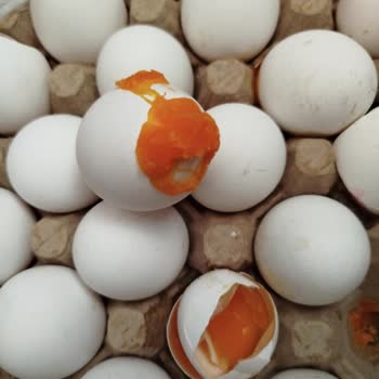 Kırık Ve Bozuk Yumurta İadesinde Personel İlgisizliği Ve Mağduriyet