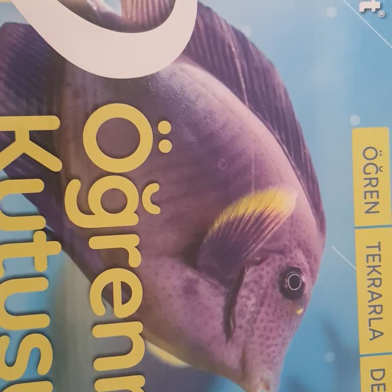 Tudem Satın Aldığım Test Kutusunda Cevap Anahtarı Ve Karekod Eksikliği Mağduriyeti