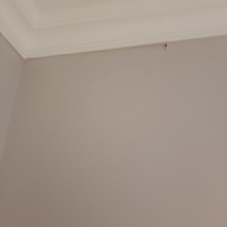 Taşınma Sonrası Fiber İnternet Bağlantısı Yapılamadı, Sorun Çözülmüyor