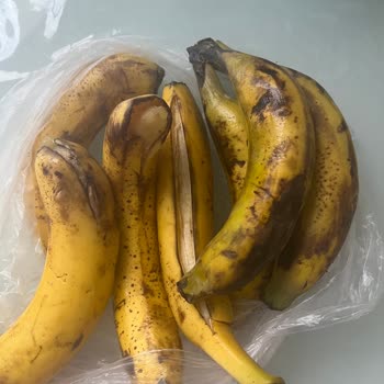 Bozuk Ürün Ve Yetersiz Müşteri Hizmeti Nedeniyle Mağduriyet