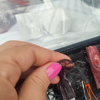 Lokumda Kuruyemiş Kabuğu Şoku: Güven Sarsıldı