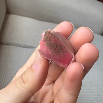 Aldığım El Yapımı Çikolatanın İçinden Küf Çıktı