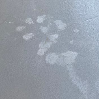 Oto Şampuanı Araca Ve Zemine Zarar Verdi, Müşteri Hizmetleri Çözüm Sunmadı