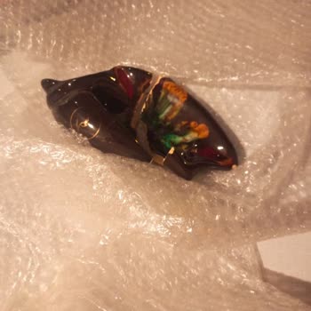 Yurtiçi Kargo Özenle Paketlenen Ürün Kırık Teslim Edildi, Mağduriyetimizin Giderilmesini İstiyorum