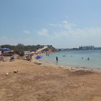 Didim Belediyesi'nin Trafik Ve Plaj Sorunlarına Duyarsızlığı