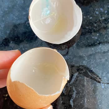 Bozuk Yumurta Satışı Nedeniyle Yaşanan Sağlık Endişesi