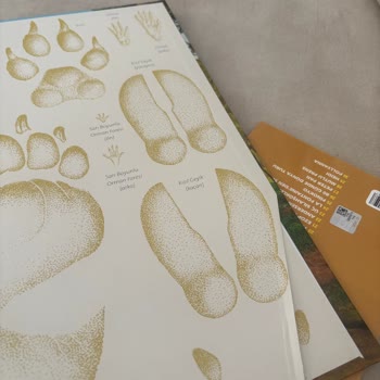 Baskı Hatalı Kitap Teslimatıyla Hayal Kırıklığı Yaşadım