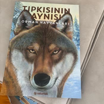 Baskı Hatalı Kitap Teslimatıyla Hayal Kırıklığı Yaşadım