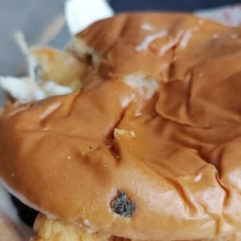 Popeyes Yemekte Hijyen Sorunu Nedeniyle Yaşanan Olumsuz Deneyim