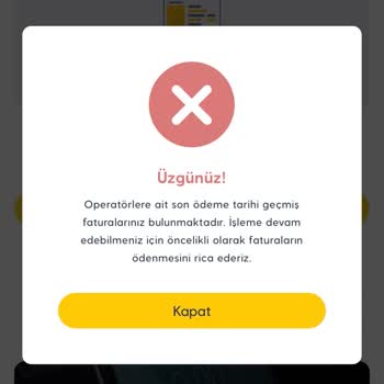 Borçsuz Olmama Rağmen Risk Raporumda Sorun Çözülemiyor