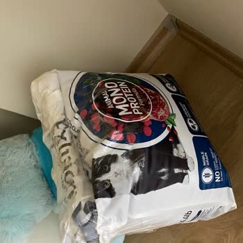 Aldığım Kedi Maması Kedim Tarafından Reddedildi, İade Talep Ediyorum