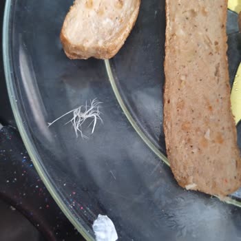 Aldığım Parmak Köftenin İçinden Tüy Ve Kağıt Çıktı, Sağlığımız Tehlikede