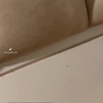 Merit Hotels İlgisizliği