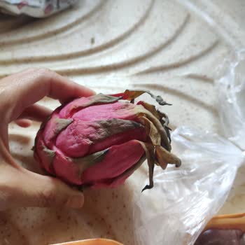 CarrefourSA Online Siparişimde Taze Beklerken Bozuk Ürünlerle Karşılaştım