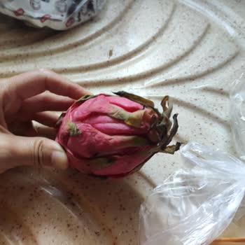 CarrefourSA Online Siparişimde Taze Beklerken Bozuk Ürünlerle Karşılaştım