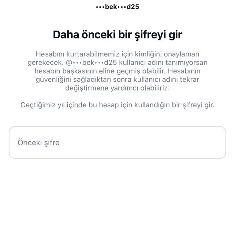 Instagram Şifre Sıfırlama Sürecinde Karşılaşılan Yazılım Hatası