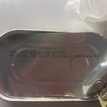 Konserve Sardalyada Yabancı Cisim Ve Hijyen Endişesi Yaşadım