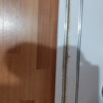 Gardırop Kapak Ve Ayna Sorununa Cevapsız Kalan Şikayetim