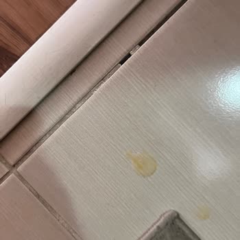 Kırık Yumurtalar Ve İade Sorunu