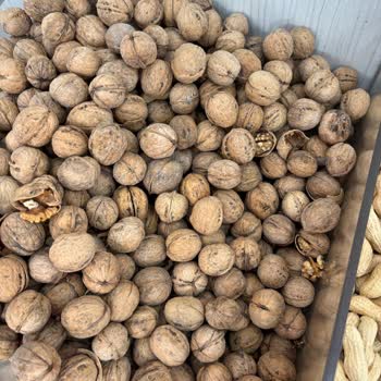 Halktan Kuruyemiş’ten Satın Alınan Cevizlerde Sürekli Kalite Sorunu Ve Yetersiz Açıklamalar