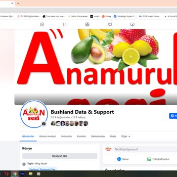 Facebook Hesabım Ve Sayfam Ele Geçirildi, Sorunum Çözülmüyor