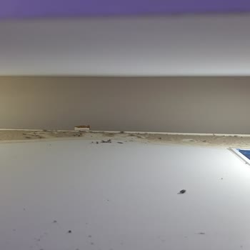 Temizlik Sonrası Eksik Hizmet Ve İlgisizlik Yaşadım