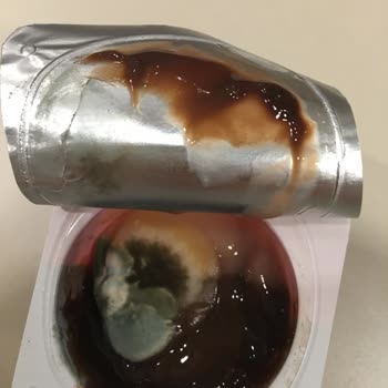 Son Kullanma Tarihi Geçmemiş Sütaş Pudingde Küf Ve Bozulma Sorunu Yaşadım
