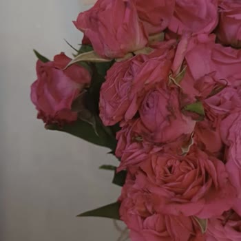 Sipariş Edilen Ve Teslim Edilen Çiçek Arasındaki Büyük Fark Hayal Kırıklığı Yarattı