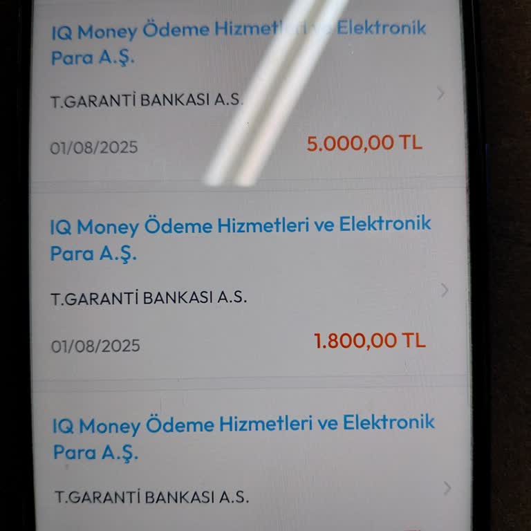 Ödeme Yapmama Rağmen Hizmet Ve Para İadesi Sağlanmadı