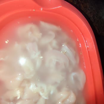 TrendYol Marketten Sağlıksız Ve Bozuk Ürün Teslimatı