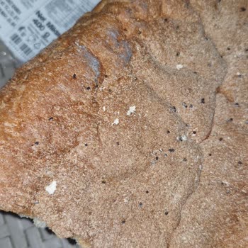 Migros Küflü Ekmek Gönderildi, Şube İletişimsiz Kaldı Mağduriyet Yaşadım!