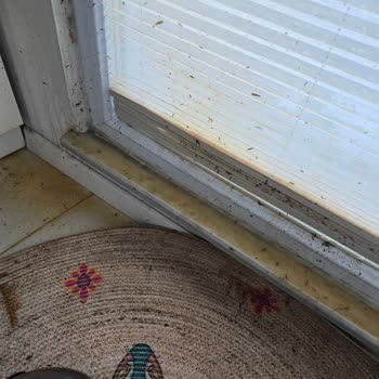 Düdüklü Tencere Patladı Ev Eşyalarım Zarar Gördü Müşteri Hizmetlerine Ulaşamıyorum