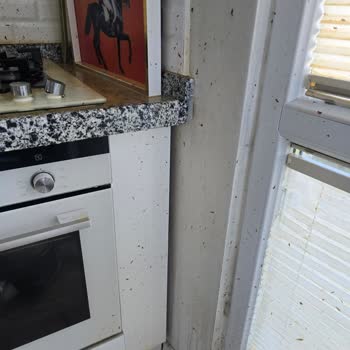 Düdüklü Tencere Patladı Ev Eşyalarım Zarar Gördü Müşteri Hizmetlerine Ulaşamıyorum