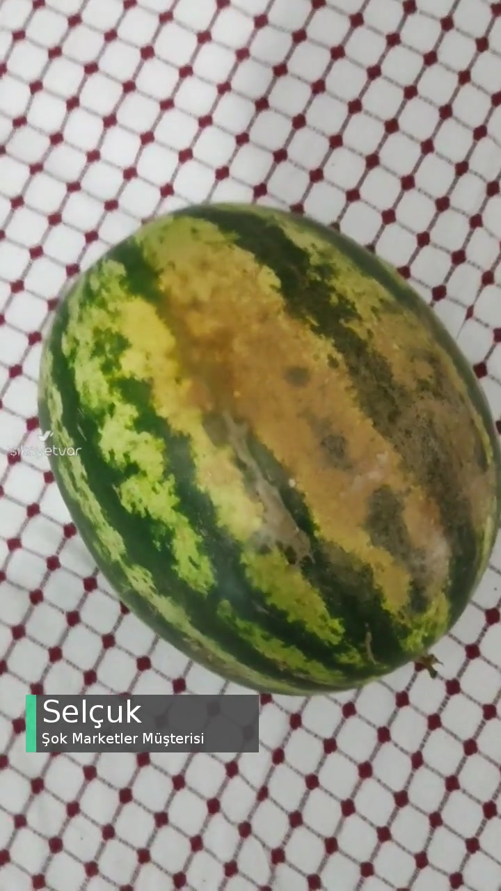 Şok Marketler Bozuk Karpuz Göndermiş! videonun kapak resmi