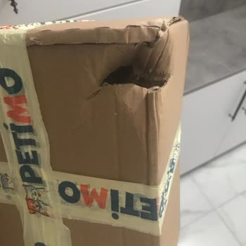 Hasarlı Koli Teslimatı Ve Kurye Davranışı Hakkında Şikayetim