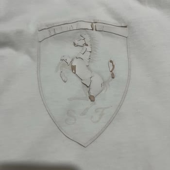 Puma Ferrari Serisi Tişörtün Baskıları İlk Yıkamada Soyuldu