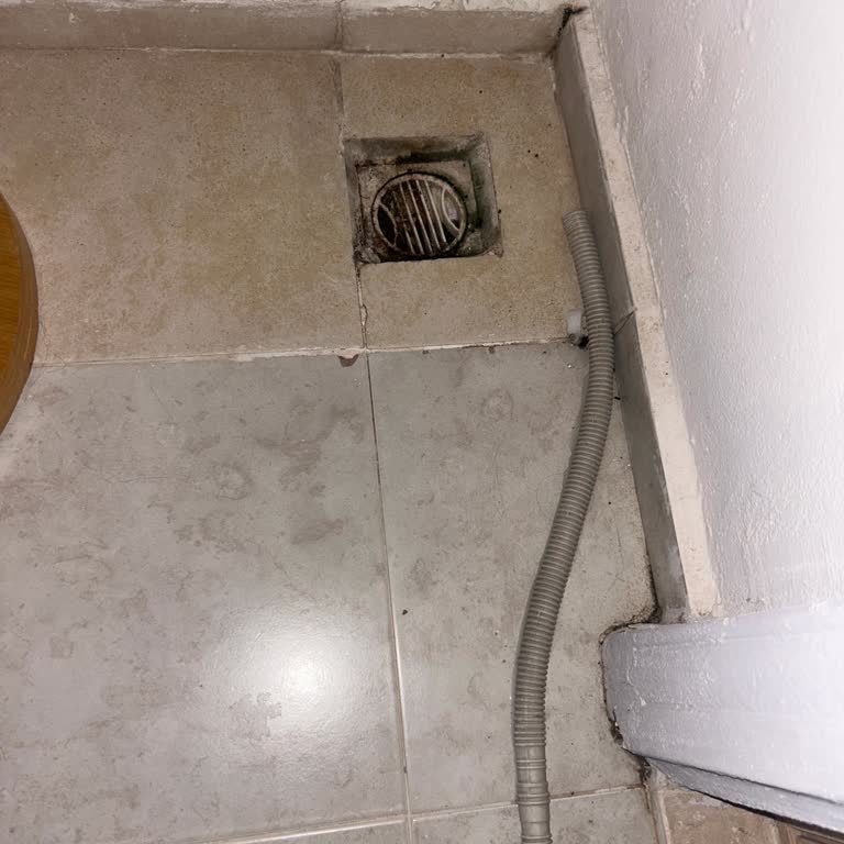 Selectum Hotels Noa Belek Şikayeti