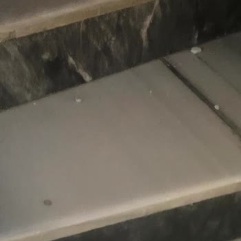 Fiber İnternet Kurulumu Sonrası Otomatik Kapı Arızası Ve Mağduriyet