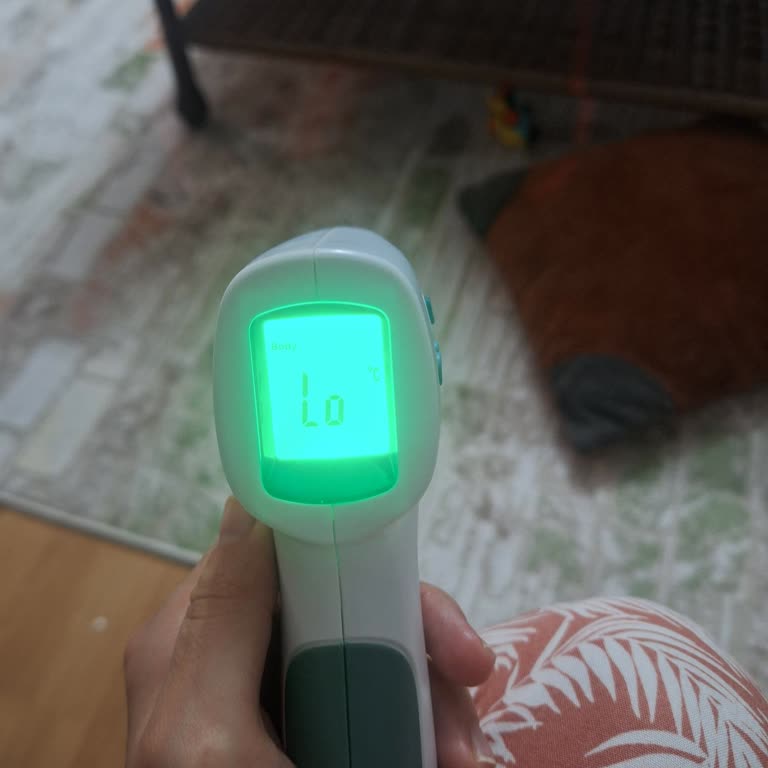 Weewell Ateş Ölçerim Lo Hatası Veriyor, Çözüm Bekliyorum