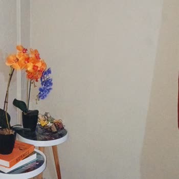 De Dietrich Yeni Alınan Klimada Su Sızıntısı Ve İlgisiz Servis Mağduriyeti