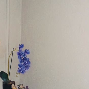 De Dietrich Yeni Alınan Klimada Su Sızıntısı Ve İlgisiz Servis Mağduriyeti