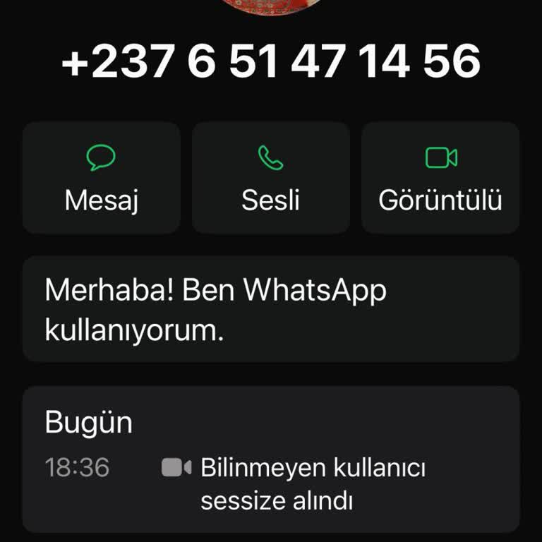 Yabancı Numara Üzerinden WhatsApp'ta Güvenlik Endişesi