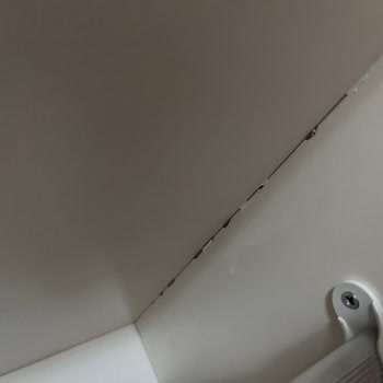 Teslimat Gecikmesi Ve Düşük Kalite: Yvz Ev Mobilya Hayal Kırıklığı