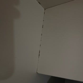 Teslimat Gecikmesi Ve Düşük Kalite: Yvz Ev Mobilya Hayal Kırıklığı